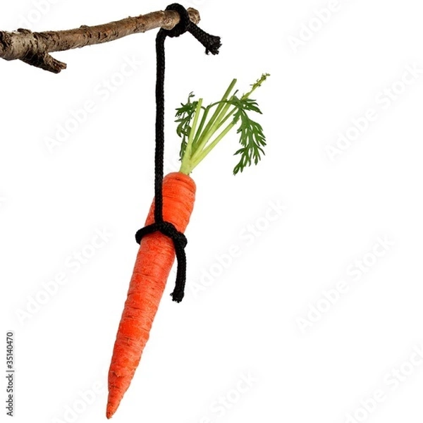 Obraz Möhre am Stock 2