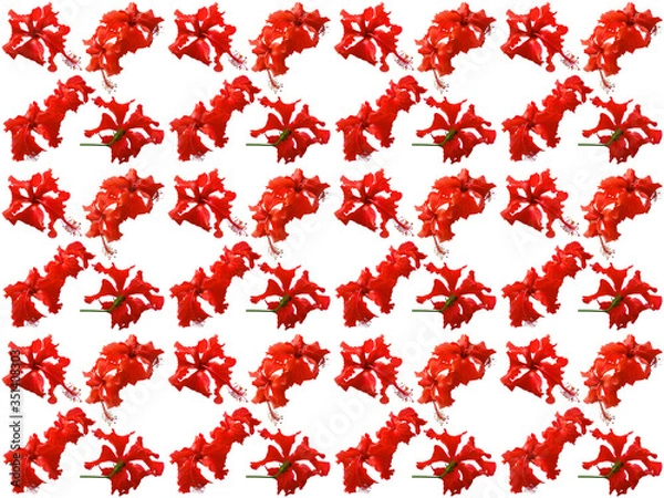 Fototapeta Flowers pattern texture. Floral pattern. Pattern of flowers.