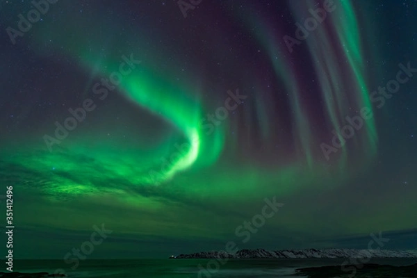 Obraz Aurora borealis, northern lights in the north of norway above snowy hills