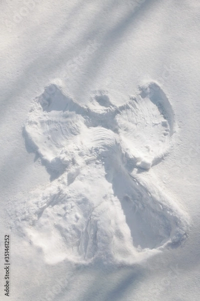 Obraz Snow angel pattern in snow