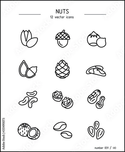 Fototapeta Vector images of different types of nuts