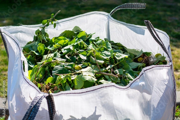 Fototapeta Large white rental bag with organic green garden waste. Local councils collecting green waste to process it into green energy and compost. 