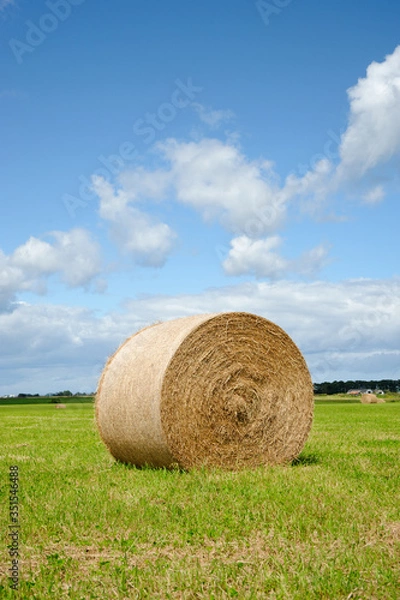 Fototapeta 北海道　8198