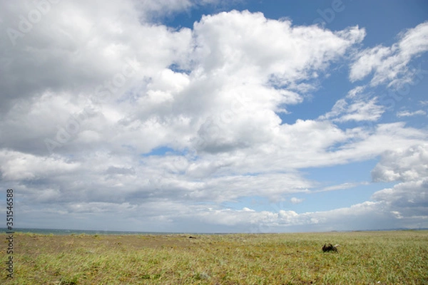 Fototapeta 北海道　オホーツク海　8215