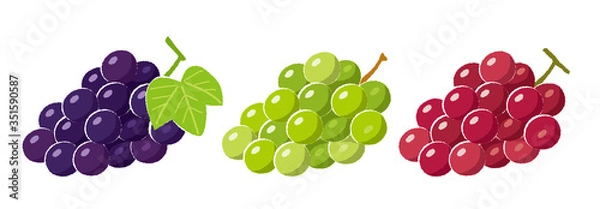 Obraz ぶどうのイラスト