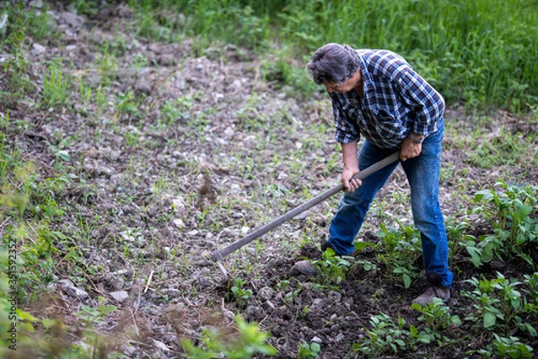 Fototapeta AGRICOLTORE CON ZAPPA