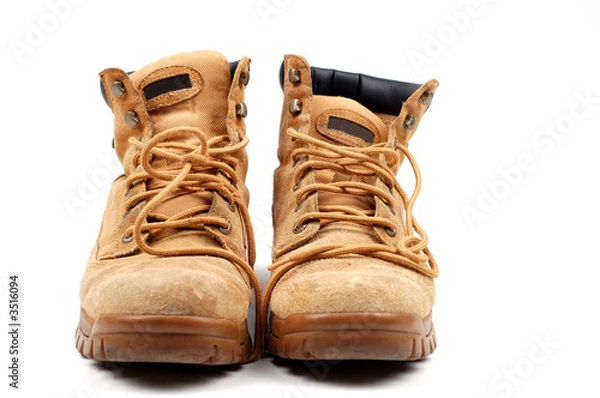 Obraz working shoe