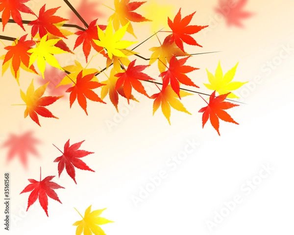 Fototapeta 紅葉狩り