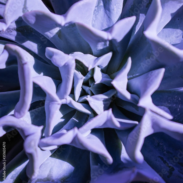 Fototapeta blue abstract background