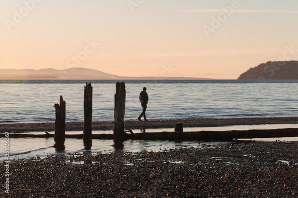 Fototapeta A man walking at coast in evening at Picnic Point area, WA, USA