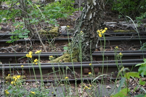 Obraz yellow fire engine