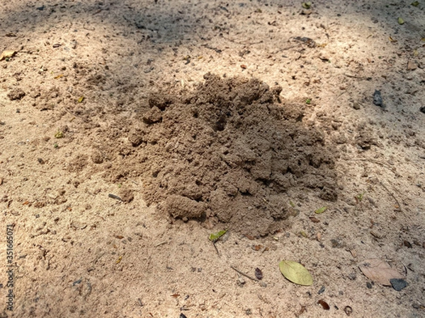 Obraz soil in the ground.