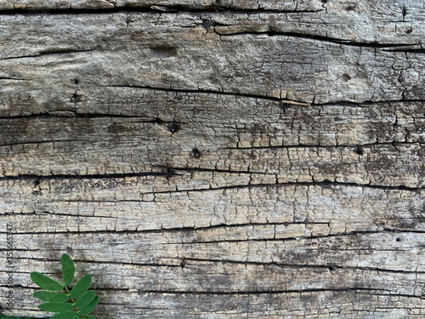 Obraz abstract pattern on old wooden background 