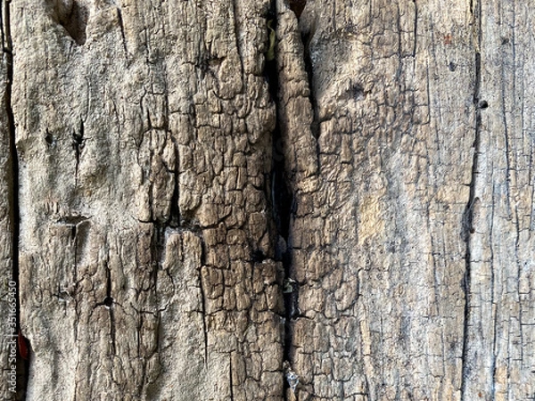 Obraz abstract pattern on old wooden background 