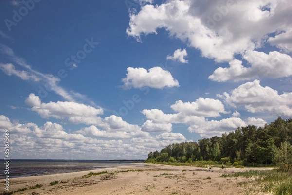 Fototapeta Cloudy and dramatic sky with green field and trees