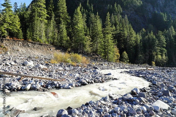 Obraz White water going down on White river