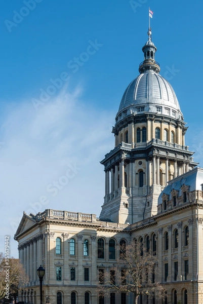 Obraz Illinois State Capitol Dome