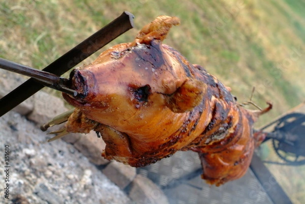 Obraz schwein gehabt 7