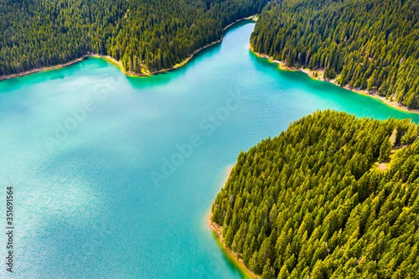 Fototapeta Turquoise water in a mountain forest lake with pine trees. Aerial view of blue lake and green forests. View on the lake between mountain forest. Over crystal clear mountain lake water. Fresh water