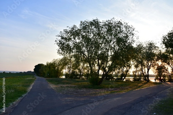 Obraz Baum am Weg, Hintergrund See
