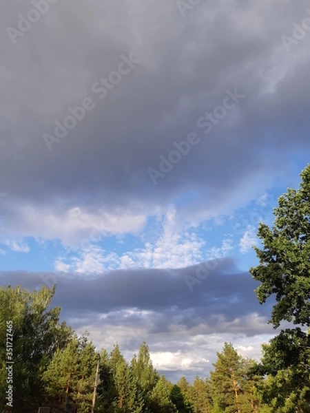 Obraz storm clouds over the forest