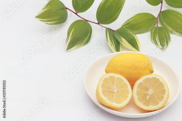 Fototapeta レモン