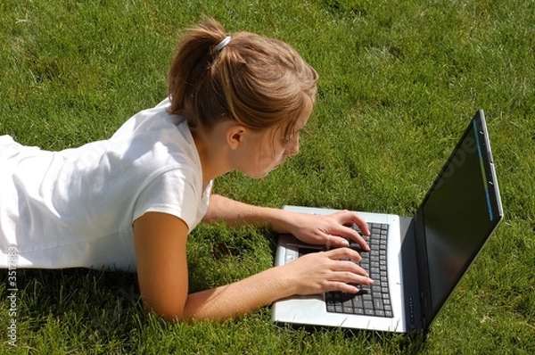 Obraz laptop in the lawn