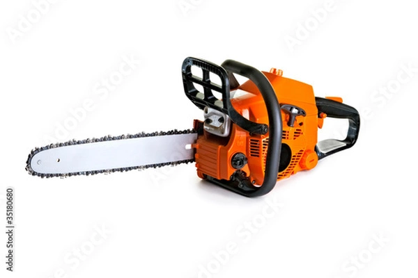 Obraz chainsaw