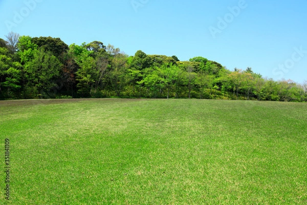 Fototapeta 芝生広場　芝生公園　グリーンパーク　市民公園　緑化イメージ　グリーン　芝生　広場