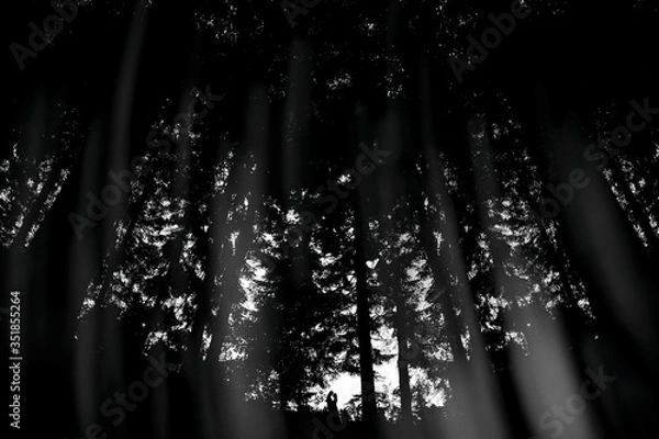 Obraz Las i kochająca się para