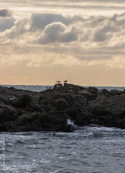 Obraz  Côte, Le Croisic #2