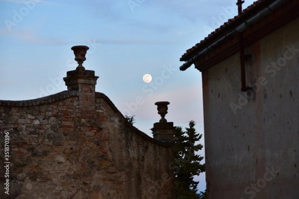 Obraz moon in the light