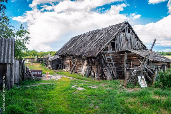 Fototapeta Old rotten wooden barn with wooden shingles roof in the courtyard in the countryside in Belarus. Summer view