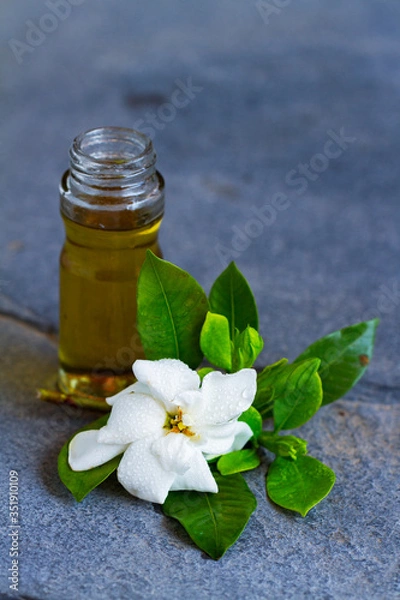 Obraz Jasmine essential oil. organic Aromatic Jasmine oil. SPA.