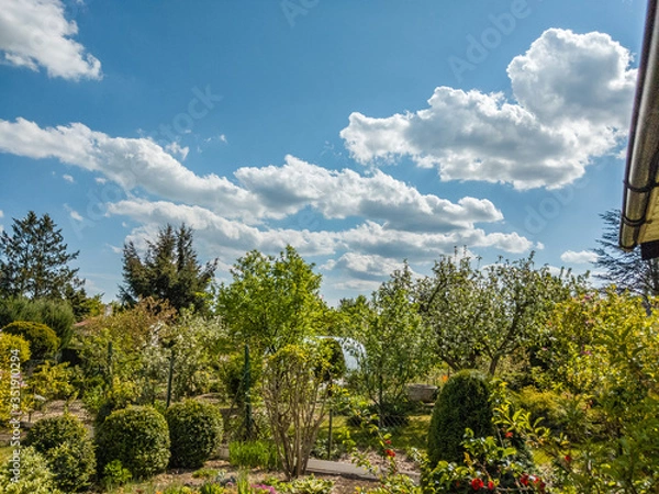 Fototapeta spring in the garden, panorama of trees with cumulus clouds above them