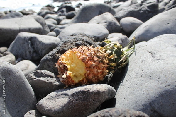 Obraz angebissene Ananas