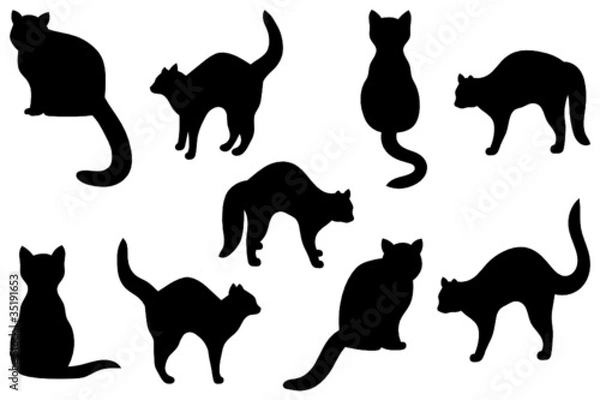 Obraz sylwetki kotów