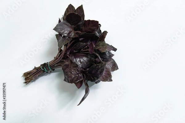Fototapeta Sprigs of blue basil on a white background. Top view