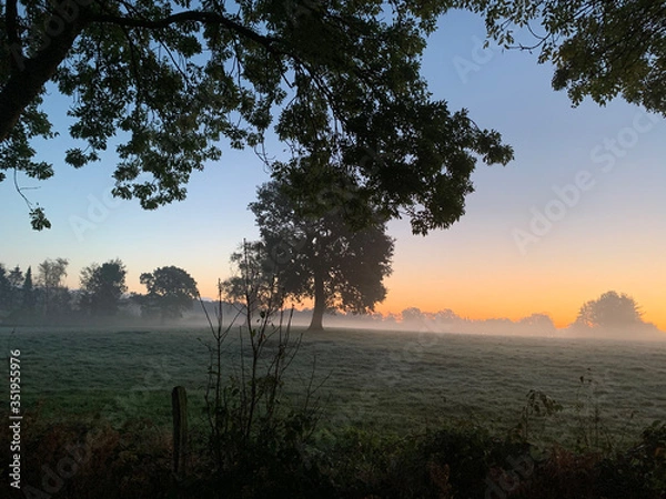 Obraz neben feld morgendämmerung