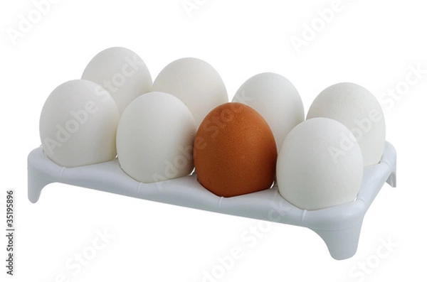 Obraz Seven white eggs and one brown in carton