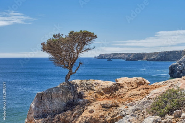 Fototapeta Praia do zavial