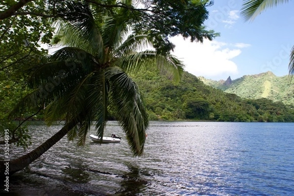 Fototapeta palm trees on the beach