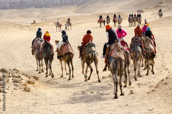 Fototapeta 
Tourists riding camels to visit Giza, Egypt on December 8, 2020.
