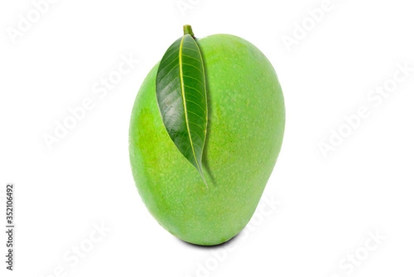Obraz Fresh green mango fruit isolated on white background