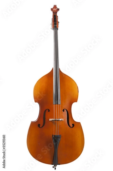 Obraz contrabbasso