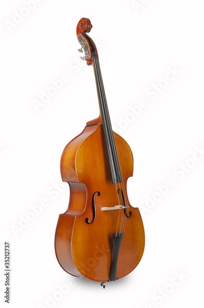 Obraz contrabbasso