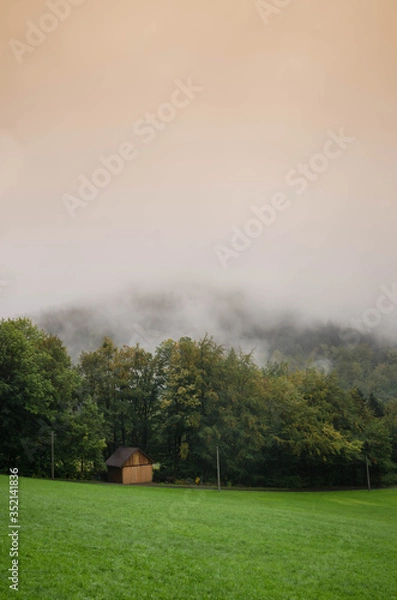 Fototapeta Green forest with mountains in the back