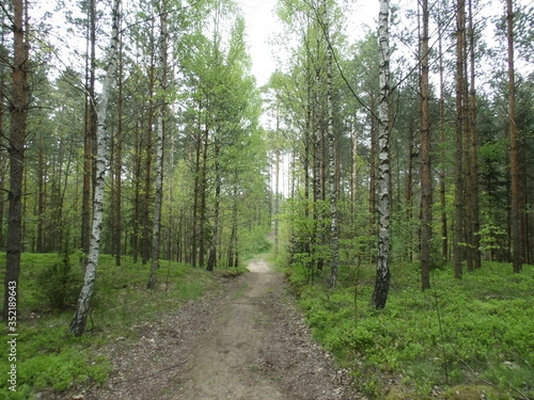 Fototapeta KODAK Digital Still Camera