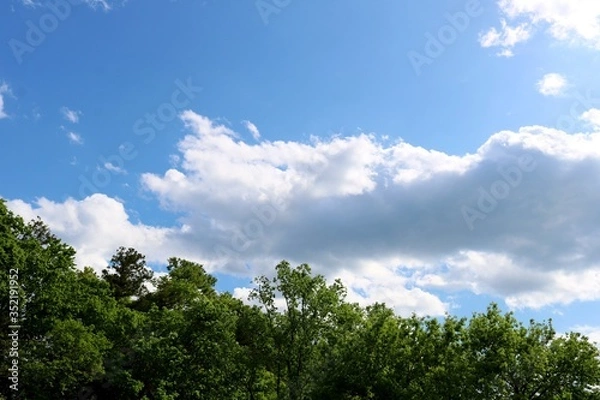 Fototapeta 空　森　新緑　風景　栃木