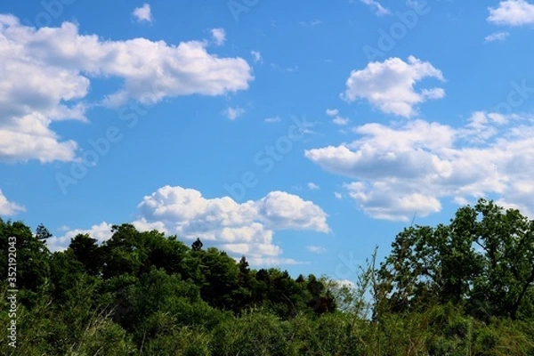 Fototapeta 緑　空　渡良瀬　風景　栃木